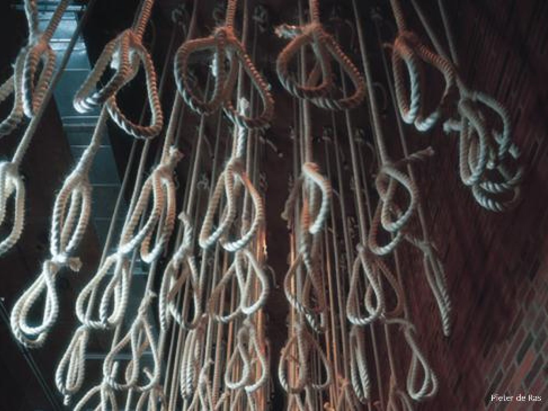 Theme10 Executions Crop Jpg 01